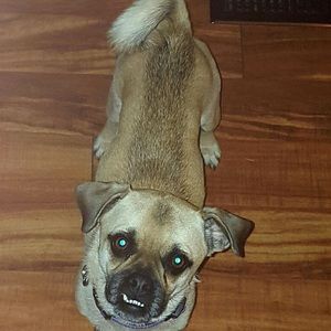 Meet your Posher, Karen