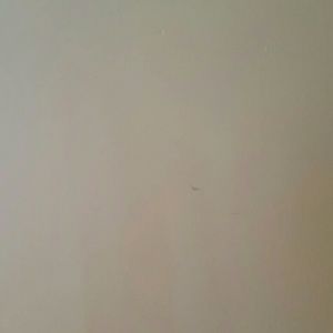 Gently Used Purse Stash