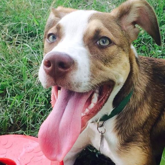 Meet your Posher, Paige - Picture 1 of 1