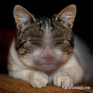 Meet your Posher, Elly