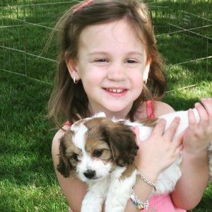 Meet your Posher, Nancy