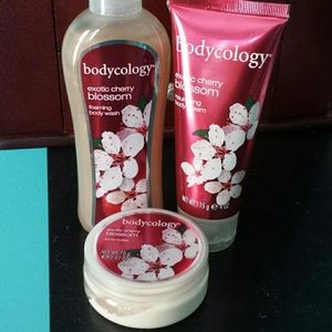 FINAL SALE!! Bodycology Beauty