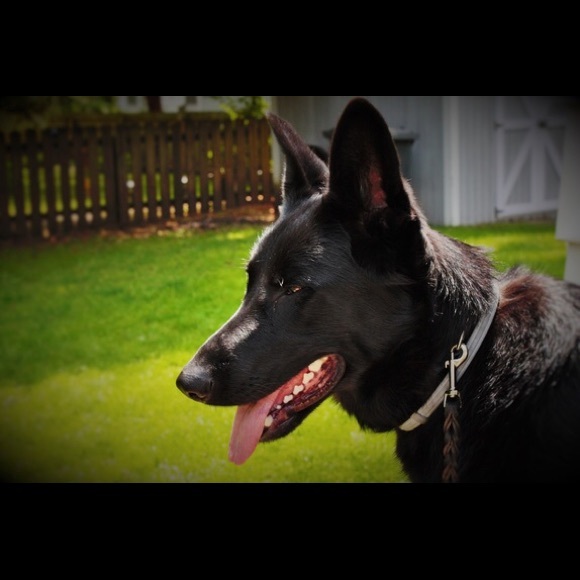 Meet your Posher, Kayla