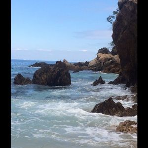 Meet your Posher, Molly