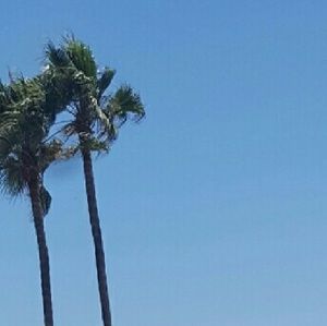 Meet your Posher, Loriann