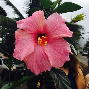 Meet your Posher, Vee