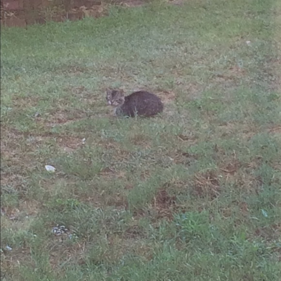 Meet your Posher, Naomi - Picture 1 of 1