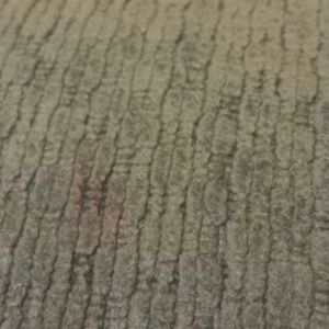 Meet your Posher, Ana