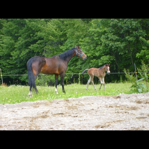 Meet your Posher, Joan - Picture 1 of 1