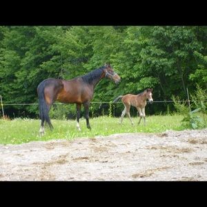 Meet your Posher, Joan