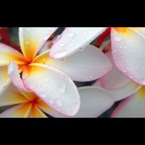 Meet your Posher, Maddie