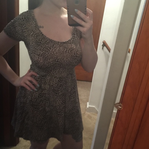 Cheetah Print Skater Dress