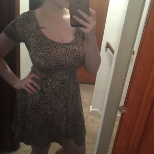 Cheetah Print Skater Dress