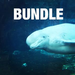 Bundle for @bchammers