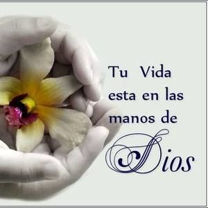 Meet your Posher, Bertha