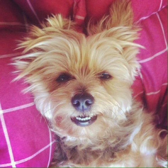 Meet your Posher, Heather - Picture 4 of 8