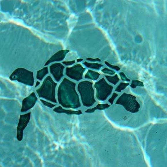 Meet your Posher, Mary - Picture 7 of 16