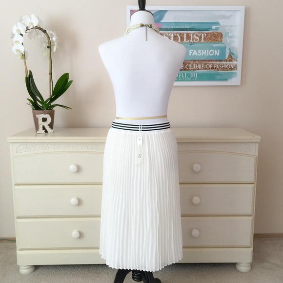 Pleated Midi - Picture 4 of 4