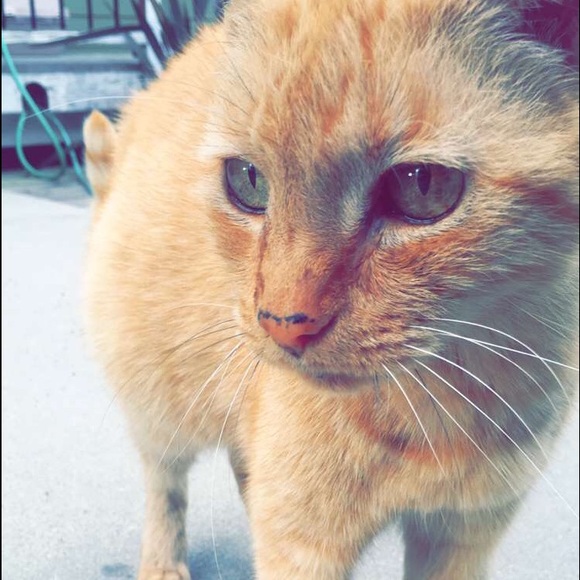 Meet your Posher, Kelly - Picture 1 of 1