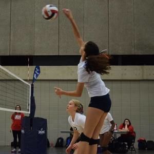 Meet your Posher, Kali