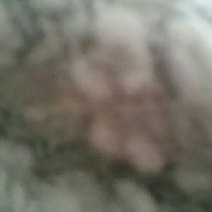 Meet your Posher, Patricia