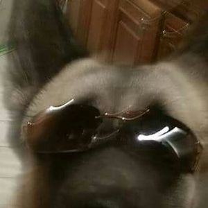 Meet your Posher, Tonya