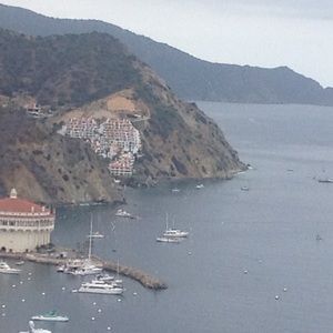 Meet your Posher, Marilyn