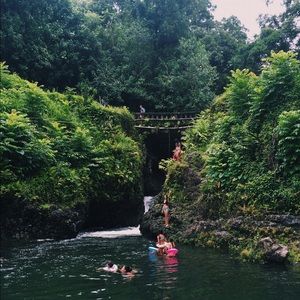 Meet your Posher, Jasmine