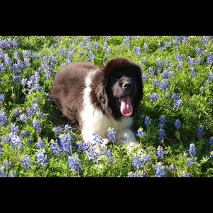 Meet your Posher, Michele