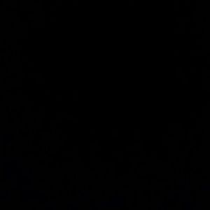 Meet your Posher, Rasheeda