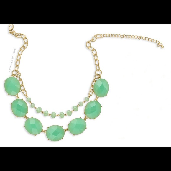 Premier Designs Jewelry - ✨LOWEST✨ Premier Designs Mint Condition Necklace