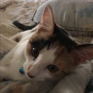 Meet your Posher, Jerrilynne