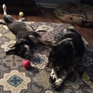 Meet your Posher, Jean