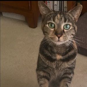 Meet your Posher, Susan