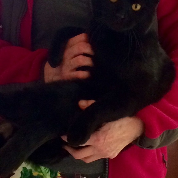 Meet your Posher, Ellen - Picture 1 of 1