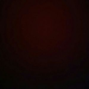 Meet your Posher, Ricky