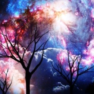 Meet your Posher, Cassie