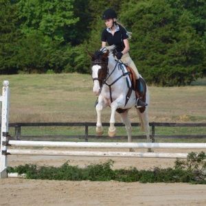 Meet your Posher, Lane