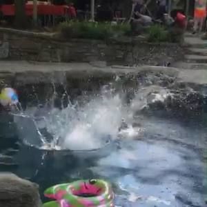 Meet your Posher, Jatavia