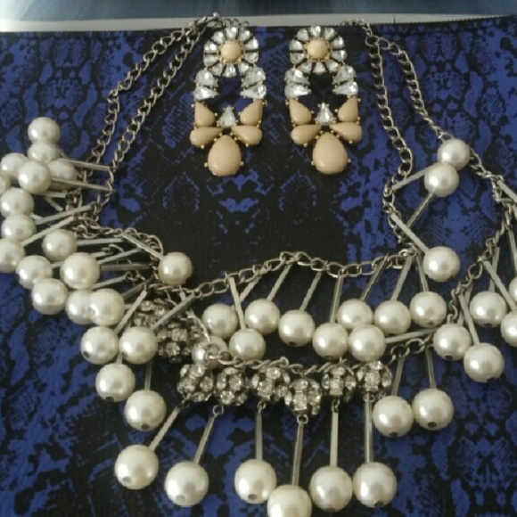 2 pc necklace and earring
