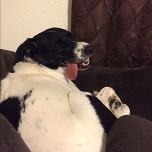 Meet your Posher, Aimee