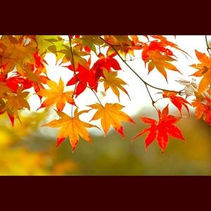 Meet your Posher, Eva