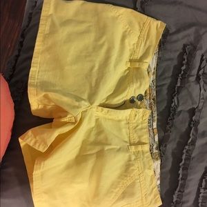 BKE Shorts