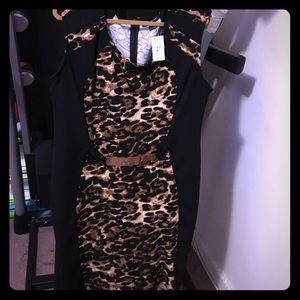 Size 18-20 animal print Ashly Stewart dress