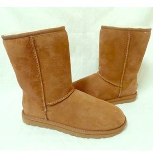 Brand New Chestnut Classic Short Uggs