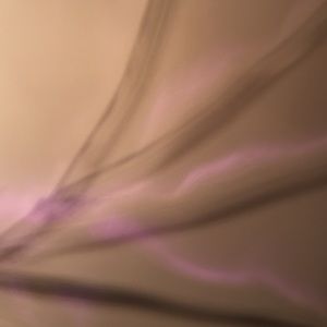 Meet your Posher, Cheyenne