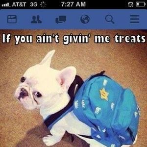 Meet your Posher, Mary