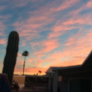 Meet your Posher, Ilene