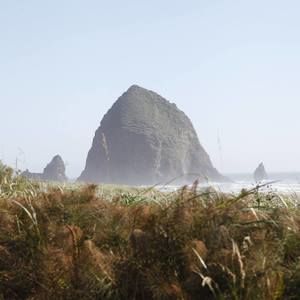 Meet your Posher, Claire sophy