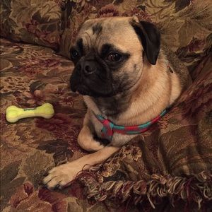 Meet your Posher, Marlene